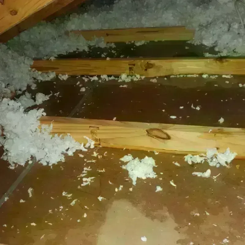 Attic Water Damage in Naples, FL