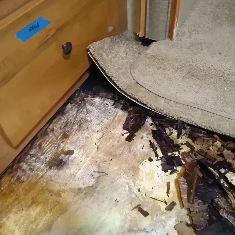 Wood Floor Water Damage in Naples, FL